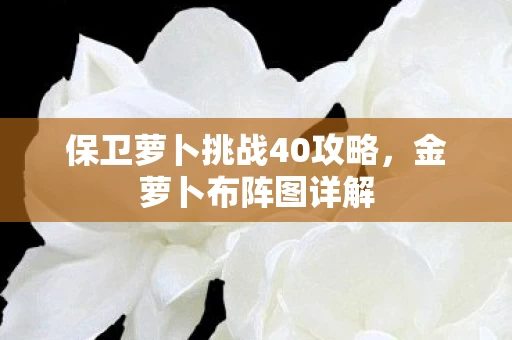 保卫萝卜挑战40攻略图片