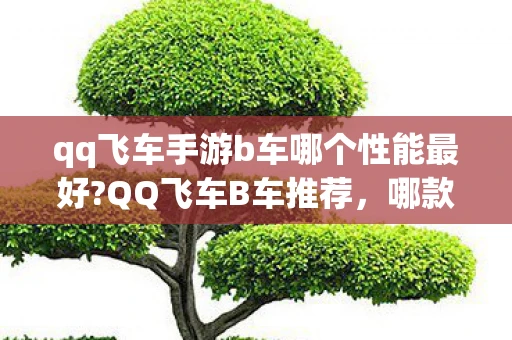 qq飞车手游b车哪个性能最好?QQ飞车B车推荐，哪款车型更适合你？