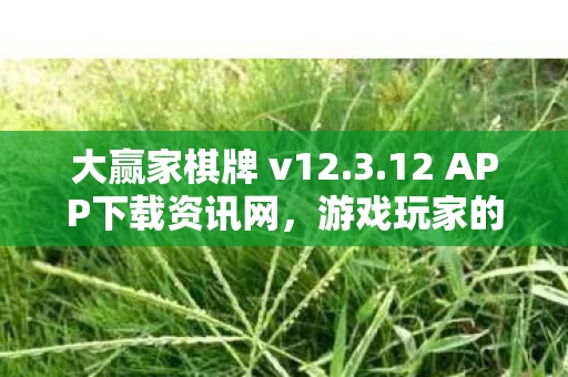 大赢家棋牌 v12.3.12 APP下载资讯网，游戏玩家的首选平台