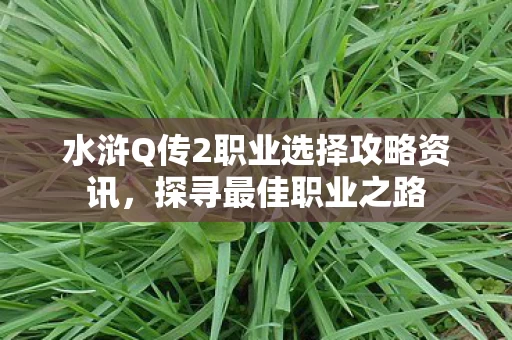 水浒Q传2职业选择攻略资讯图片