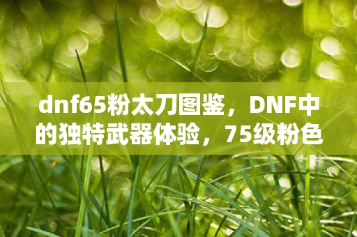 dnf65粉太刀图鉴，DNF中的独特武器体验，75级粉色太刀