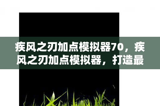 疾风之刃加点模拟器70，疾风之刃加点模拟器，打造最强角色攻略