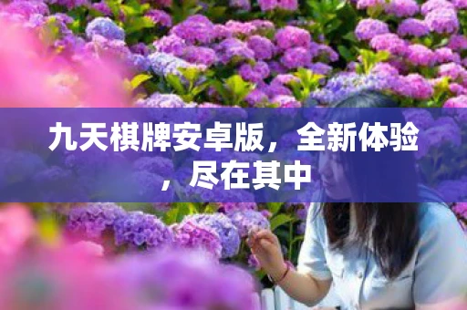 九天棋牌安卓版，全新体验，尽在其中