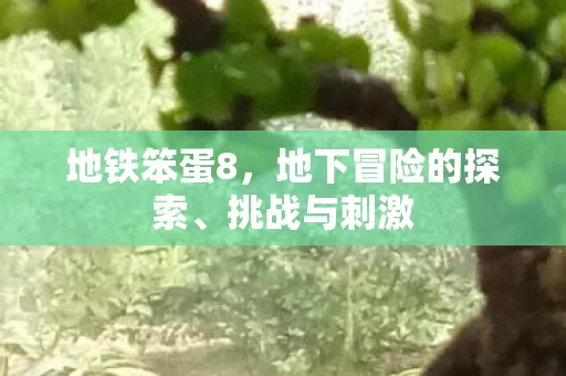 地下冒险的探索图片