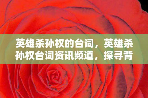 英雄杀孙权的台词,英雄杀孙权台词资讯频道,探寻背后的故事与魅力 英雄杀孙权的台词,英雄杀孙权台词资讯频道,探寻背后的故事与魅力