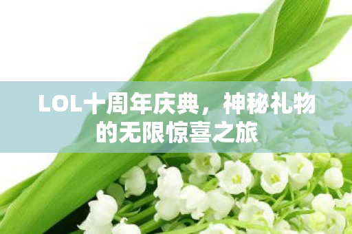 神秘礼物的无限惊喜之旅图片