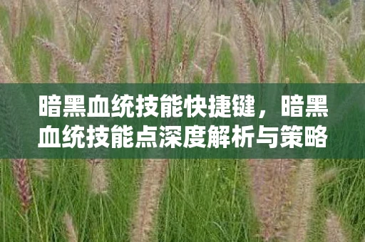 暗黑血统技能快捷键,暗黑血统技能点深度解析与策略构建 暗黑血统技能快捷键,暗黑血统技能点深度解析与策略构建