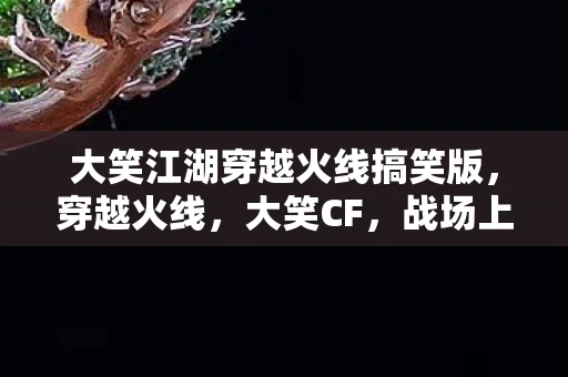 大笑江湖穿越火线搞笑版,穿越火线,大笑CF,战场上的欢乐时刻 大笑江湖穿越火线搞笑版,穿越火线,大笑CF,战场上的欢乐时刻