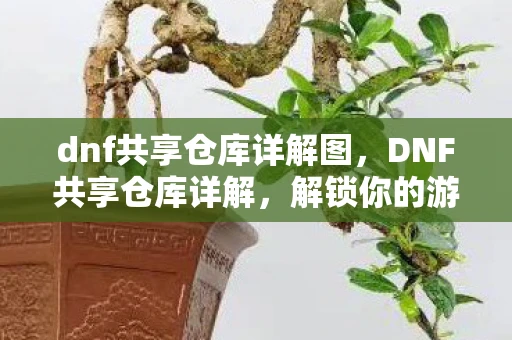 dnf共享仓库详解图，DNF共享仓库详解，解锁你的游戏资产管理新姿势