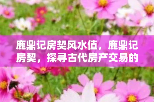 鹿鼎记房契风水值,鹿鼎记房契,探寻古代房产交易的秘密 鹿鼎记房契风水值,鹿鼎记房契,探寻古代房产交易的秘密