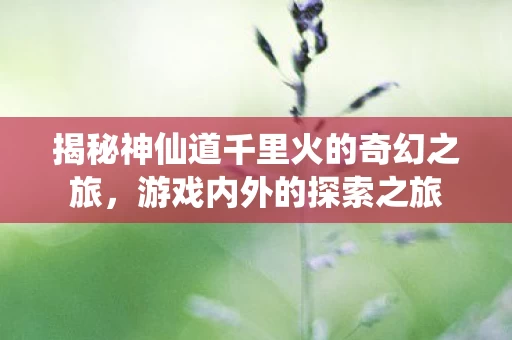 揭秘神仙道千里火的奇幻之旅图片