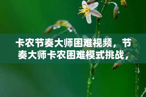 卡农节奏大师困难视频，节奏大师卡农困难模式挑战，你的音乐节奏感准备好了吗？