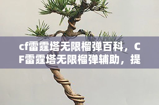 cf雷霆塔无限榴弹百科，CF雷霆塔无限榴弹辅助，提升游戏体验，打造无敌战神