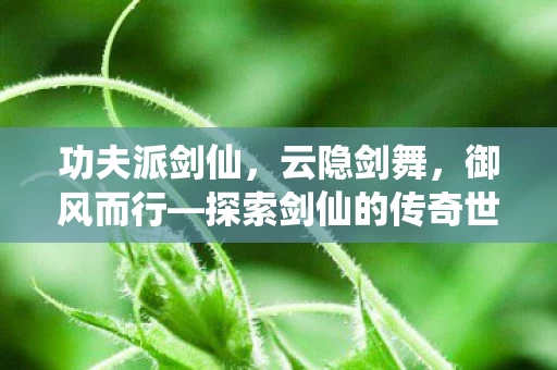 探索剑仙的传奇世界图片