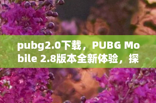 pubg2.0下载,PUBG Mobile 2.8版本全新体验,探索未来的战场! pubg2.0下载,PUBG Mobile 2.8版本全新体验,探索未来的战场!