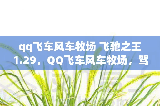 qq飞车风车牧场 飞驰之王1.29，QQ飞车风车牧场，驾驶与农耕的完美融合