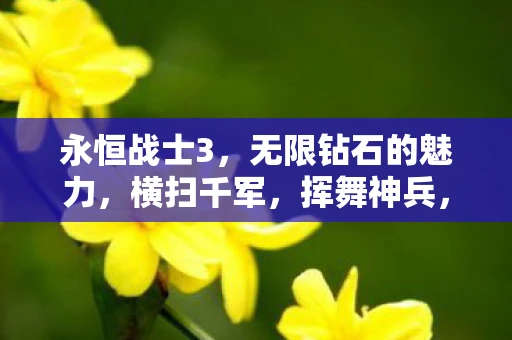 永恒战士3,无限钻石的魅力,横扫千军,挥舞神兵,体验无限战斗快感 永恒战士3,无限钻石的魅力,横扫千军,挥舞神兵,体验无限战斗快感