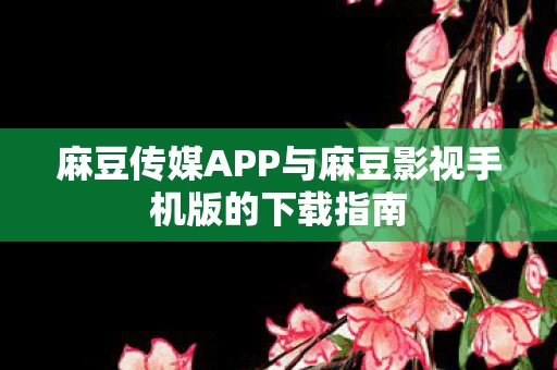 麻豆传媒APP与麻豆影视手机版的下载指南图片