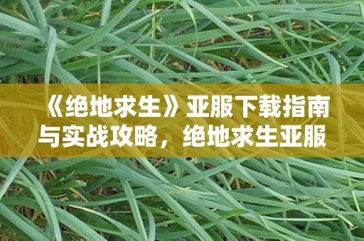 《绝地求生》亚服下载指南与实战攻略，绝地求生亚服下载指南与实战攻略