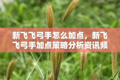 新飞飞弓手怎么加点,新飞飞弓手加点策略分析资讯频道 新飞飞弓手怎么加点,新飞飞弓手加点策略分析资讯频道