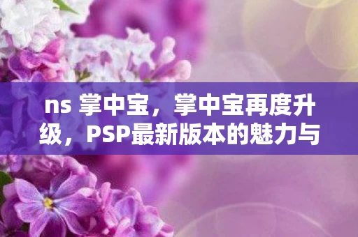 ns 掌中宝，掌中宝再度升级，PSP最新版本的魅力与挑战