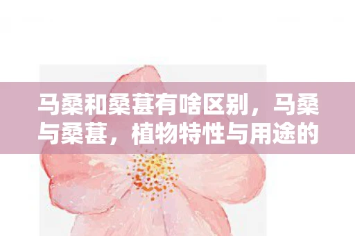 马桑和桑葚有啥区别，马桑与桑葚，植物特性与用途的解析