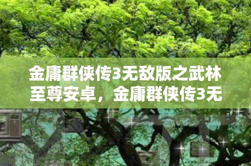 金庸群侠传3无敌版之武林至尊安卓，金庸群侠传3无敌版之武林至尊攻略资讯频道—成为武林巅峰的必经之路