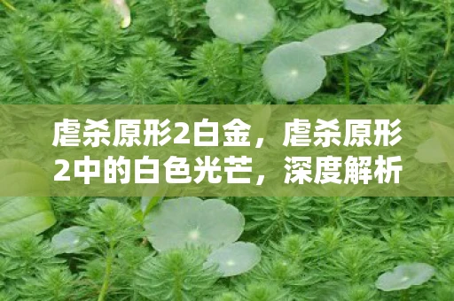 虐杀原形2白金，虐杀原形2中的白色光芒，深度解析与建议攻略