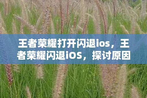 王者荣耀打开闪退ios,王者荣耀闪退iOS,探讨原因与解决方案 王者荣耀打开闪退ios,王者荣耀闪退iOS,探讨原因与解决方案