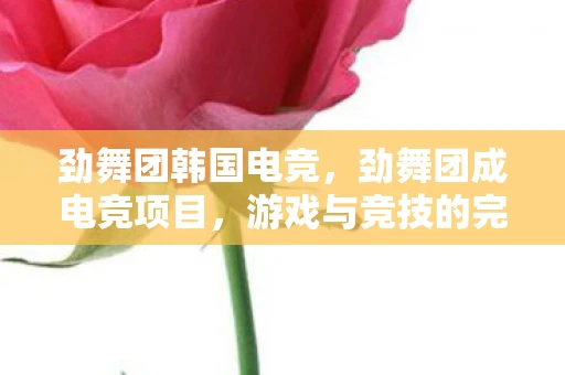劲舞团韩国电竞,劲舞团成电竞项目,游戏与竞技的完美结合 劲舞团韩国电竞,劲舞团成电竞项目,游戏与竞技的完美结合