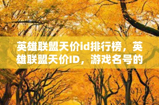英雄联盟天价id排行榜,英雄联盟天价ID,游戏名号的商业价值与背后故事 英雄联盟天价id排行榜,英雄联盟天价ID,游戏名号的商业价值与背后故事