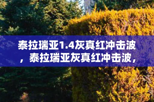 泰拉瑞亚1.4灰真红冲击波，泰拉瑞亚灰真红冲击波，最新资讯与攻略频道