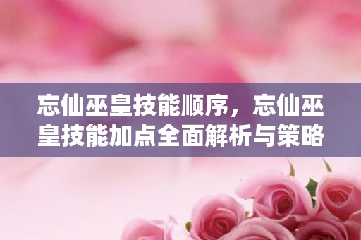 忘仙巫皇技能顺序，忘仙巫皇技能加点全面解析与策略建议