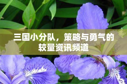 策略与勇气的较量资讯频道图片