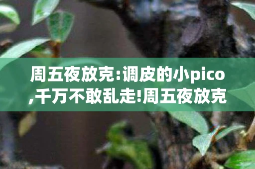 周五夜放克:调皮的小pico,千万不敢乱走!周五夜放克小屁孩日记模组 v1.0