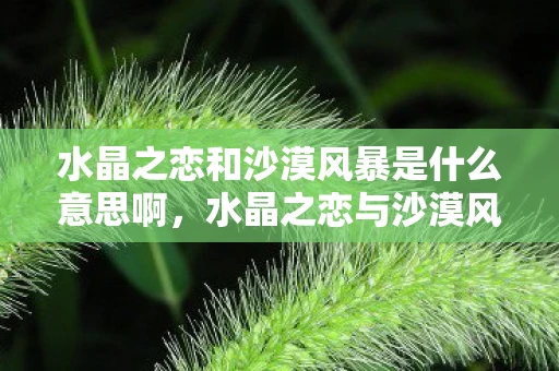 水晶之恋和沙漠风暴是什么意思啊，水晶之恋与沙漠风暴，游戏中的神秘元素解析