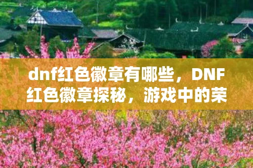 dnf红色徽章有哪些,DNF红色徽章探秘,游戏中的荣誉与力量象征 dnf红色徽章有哪些,DNF红色徽章探秘,游戏中的荣誉与力量象征