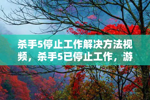 杀手5停止工作解决方法视频,杀手5已停止工作,游戏背后的技术挑战与应对策略 杀手5停止工作解决方法视频,杀手5已停止工作,游戏背后的技术挑战与应对策略