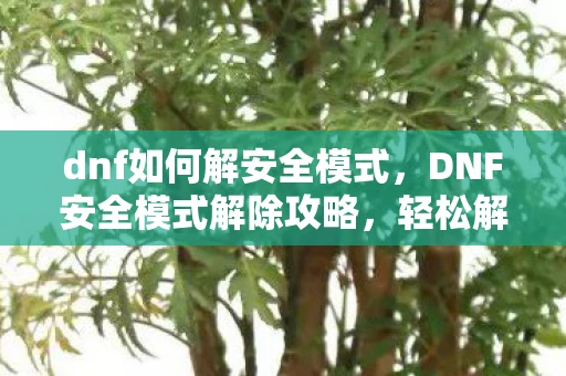 dnf如何解安全模式，DNF安全模式解除攻略，轻松解决游戏困扰