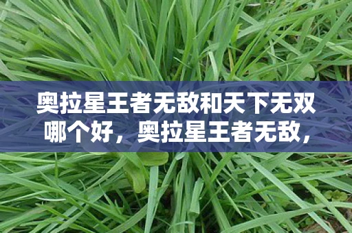 奥拉星王者无敌和天下无双哪个好，奥拉星王者无敌，征战之路的无尽辉煌