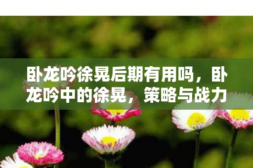 卧龙吟徐晃后期有用吗，卧龙吟中的徐晃，策略与战力的完美结合