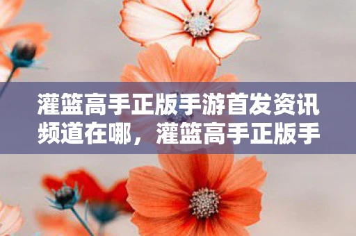 灌篮高手正版手游首发资讯频道在哪,灌篮高手正版手游首发资讯频道—热血篮球,重燃青春! 灌篮高手正版手游首发资讯频道在哪,灌篮高手正版手游首发资讯频道—热血篮球,重燃青春!