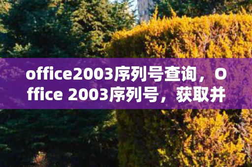 office2003序列号查询,Office 2003序列号,获取并使用Office 2003序列号的详细步骤 office2003序列号查询,Office 2003序列号,获取并使用Office 2003序列号的详细步骤