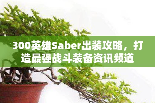 300英雄Saber出装攻略图片