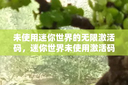 未使用迷你世界的无限激活码，迷你世界未使用激活码，探索无限乐趣