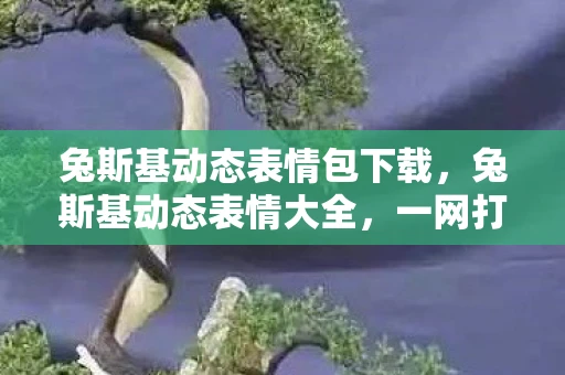 兔斯基动态表情包下载，兔斯基动态表情大全，一网打尽，共481个