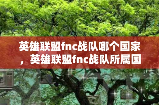 英雄联盟fnc战队哪个国家,英雄联盟fnc战队所属国家深度解析 英雄联盟fnc战队哪个国家,英雄联盟fnc战队所属国家深度解析