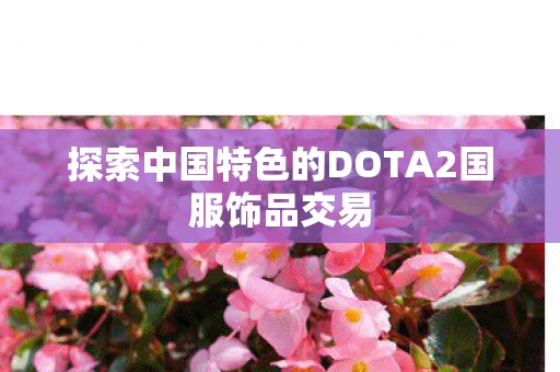 探索中国特色的DOTA2国服饰品交易