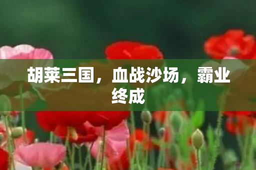 胡莱三国图片