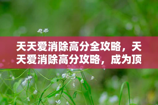 天天爱消除高分全攻略，天天爱消除高分攻略，成为顶尖玩家的秘诀